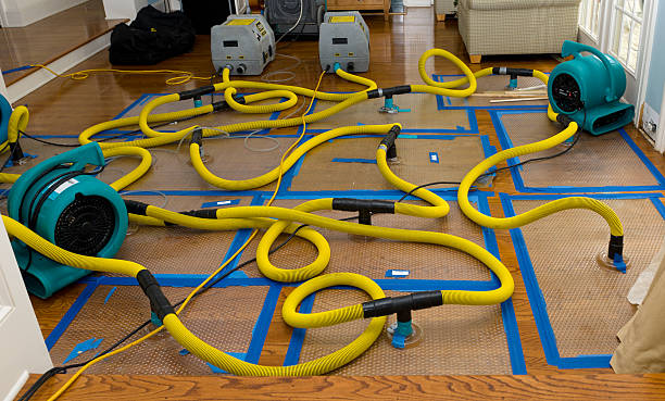 Professional Basement Flood Cleanup technician working in Blanca, CO